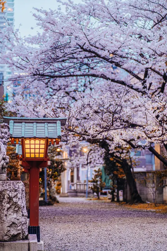 Linda.Tokyo Premium Domain